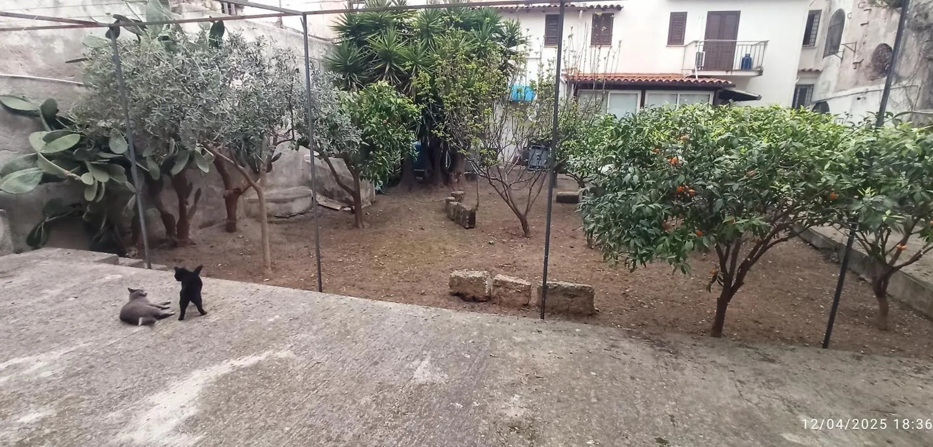 Jujube Hortus Apartment 4 Palermo 0*,  Italy