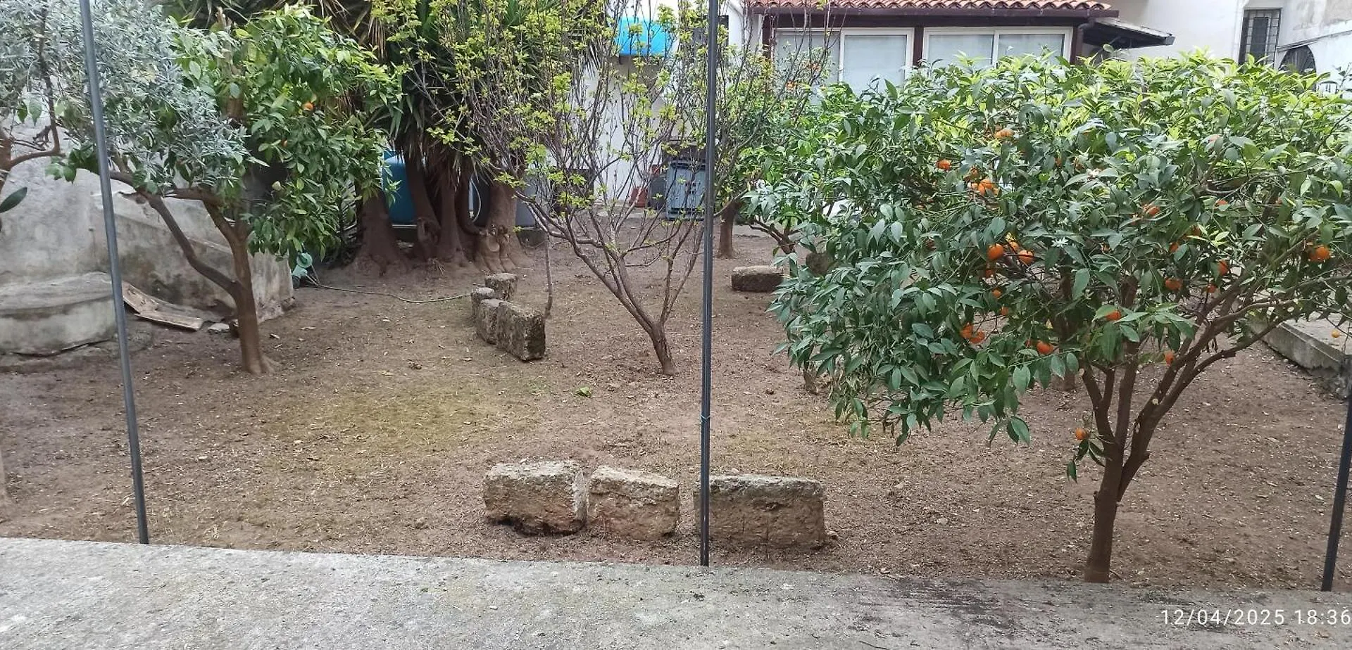 Jujube Hortus Apartment 4 Palermo