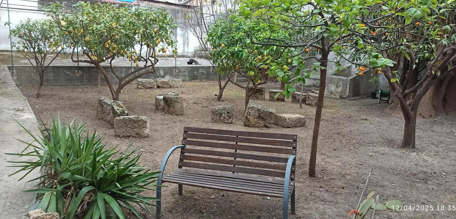 Jujube Hortus Apartment 4 Palermo Italy